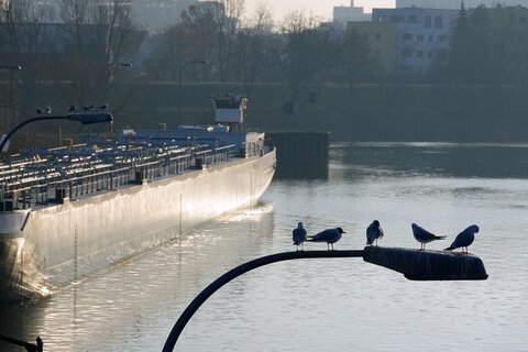 regensburg3 | &copy; Philipp Herrmann