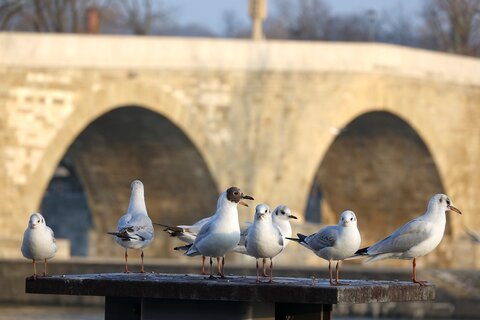 regensburg | &copy; Philipp Herrmann