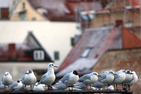 landshut5 | &copy; Philipp Herrmann