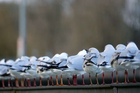 landshut6 | &copy; Philipp Herrmann