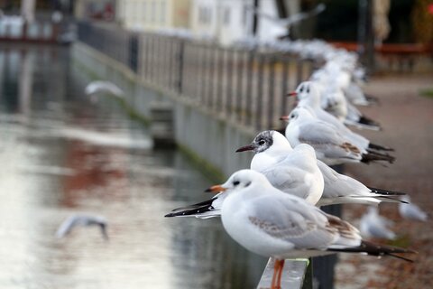 landshut10 | &copy; Philipp Herrmann